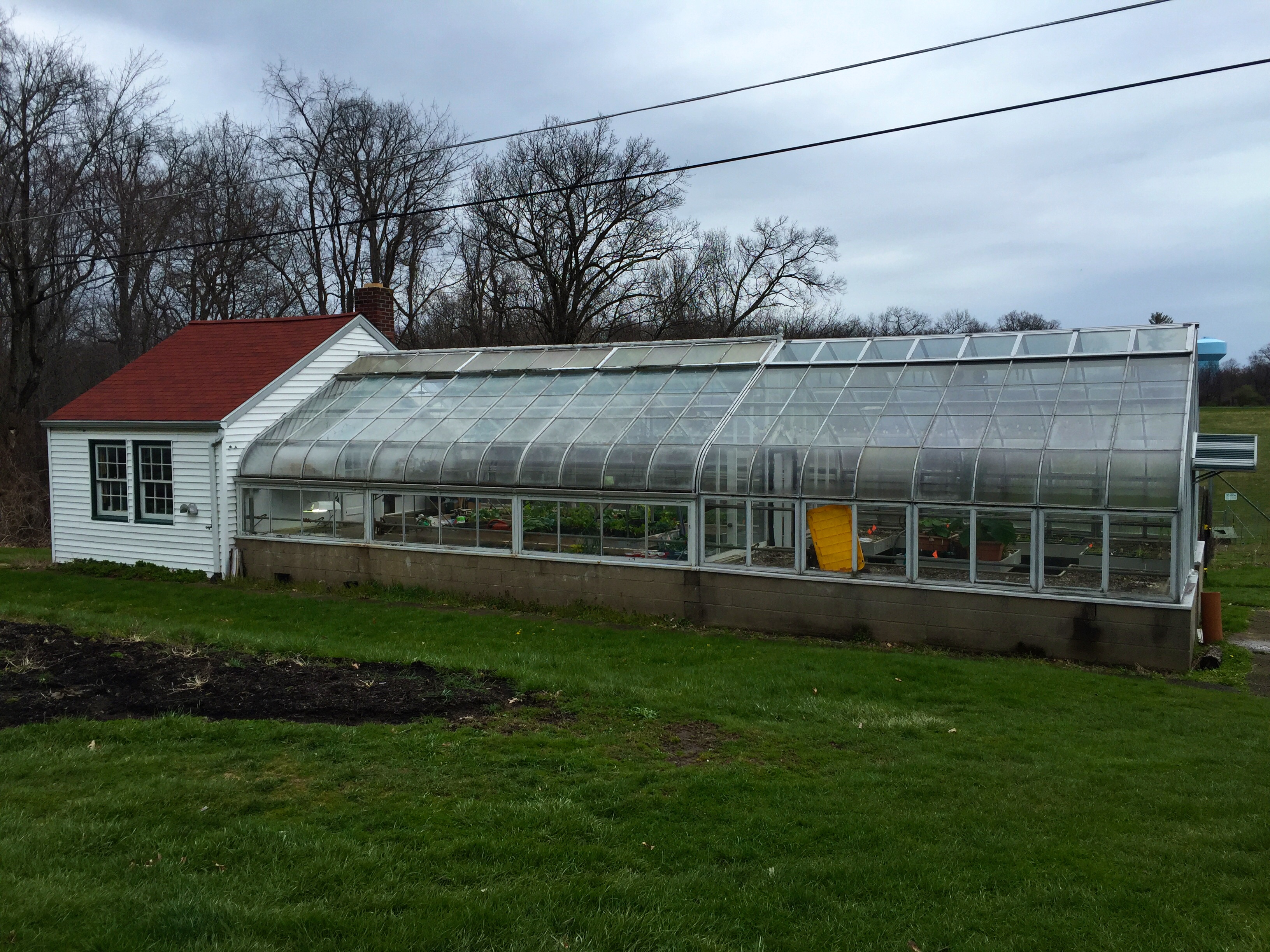 The Greenhouses of Eden Hall Farm. 